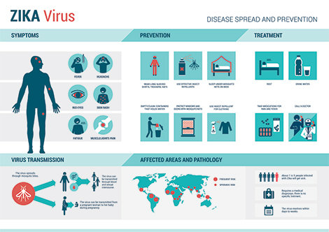 Zika Virus Infographic